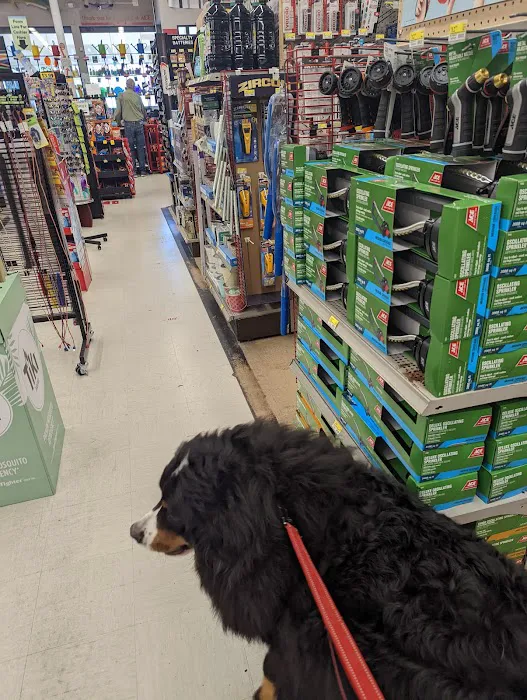 Magnolia Ace Hardware 2