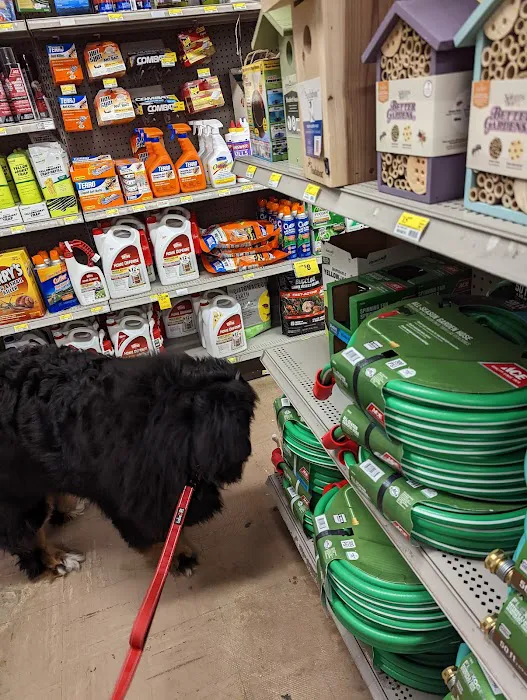 Magnolia Ace Hardware 4