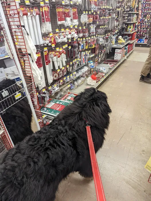 Magnolia Ace Hardware 7