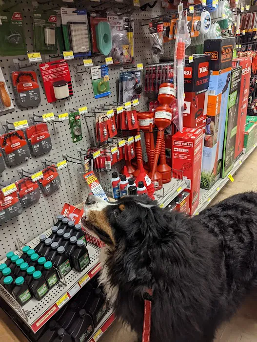 Magnolia Ace Hardware 8