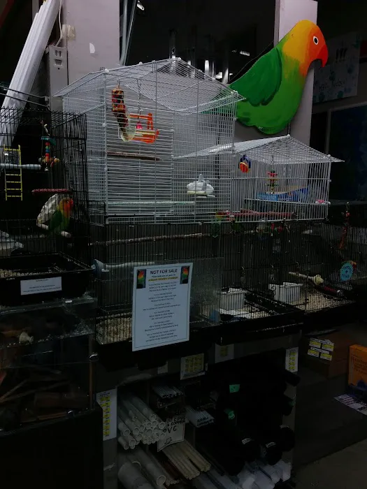 Magnolia Ace Hardware 9