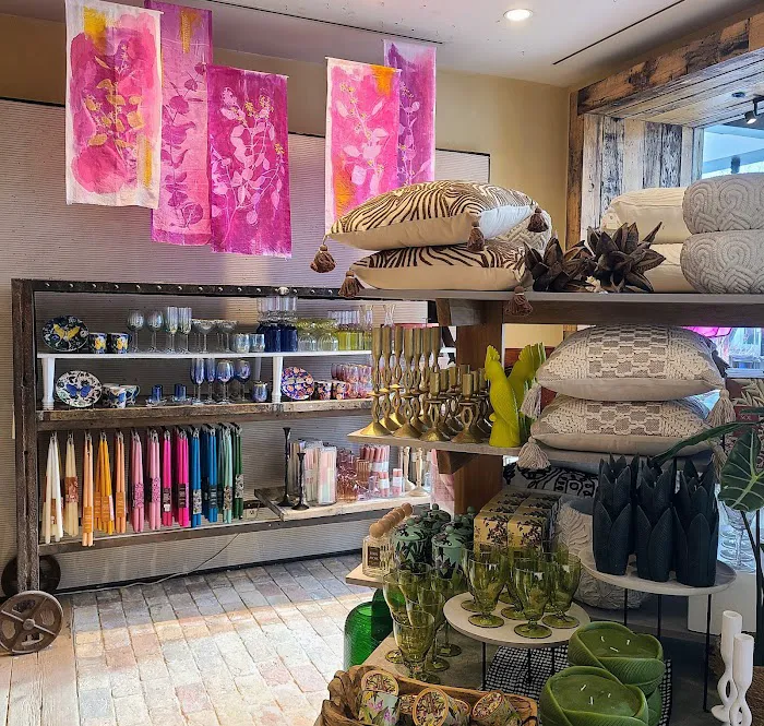 Anthropologie 2