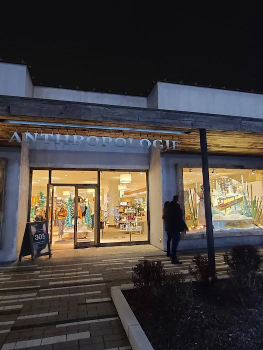 Anthropologie 0