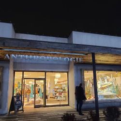 Anthropologie ico