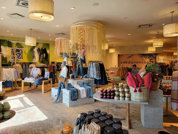 Anthropologie 1