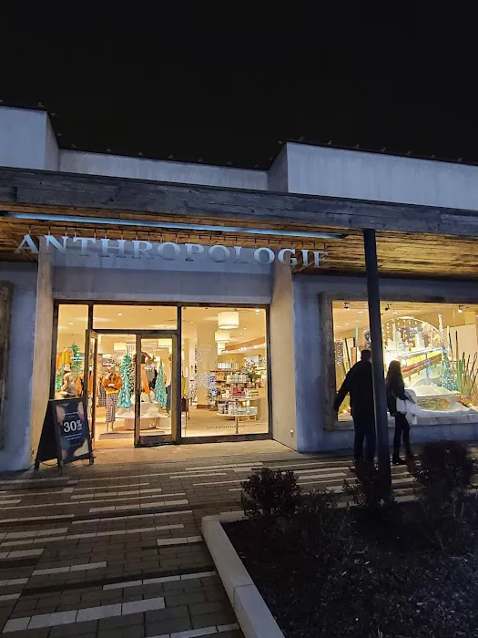Anthropologie 3