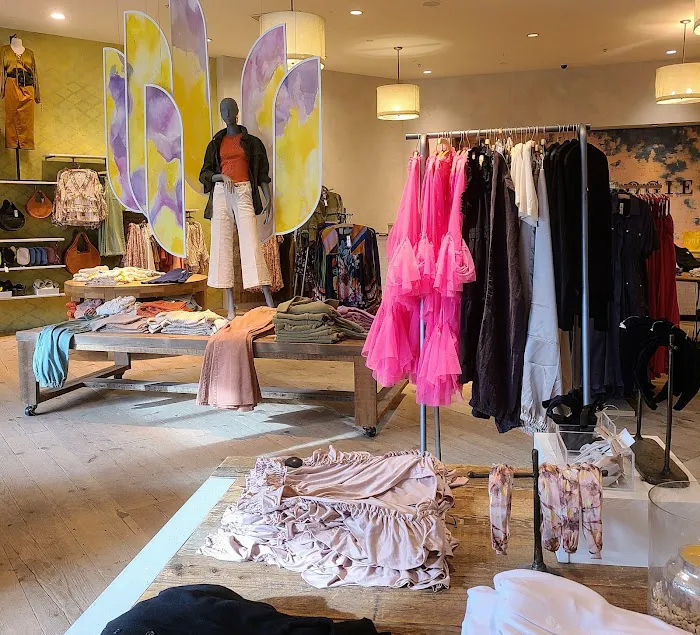 Anthropologie 4