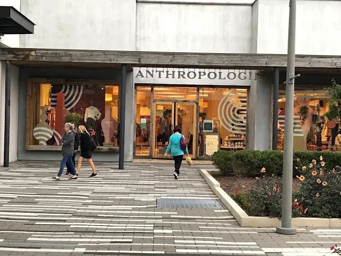 Anthropologie 6