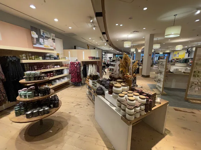Anthropologie 7