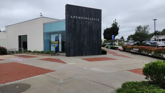 Anthropologie 2