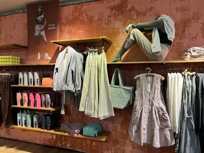 Anthropologie 4