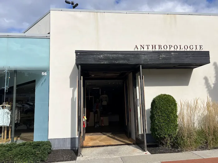 Anthropologie 5