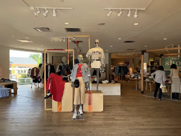 Anthropologie 8