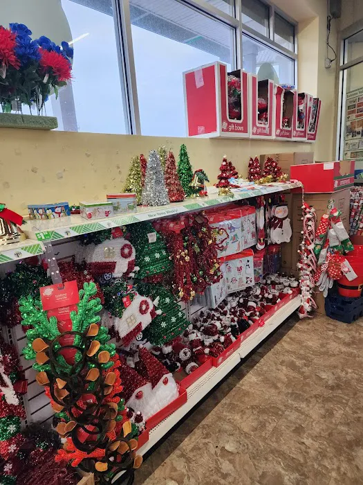 Dollar Tree 1