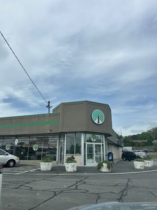 Dollar Tree 2