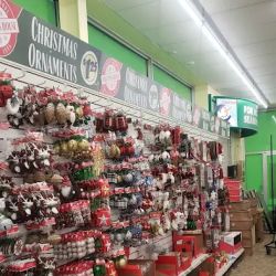 Dollar Tree ico