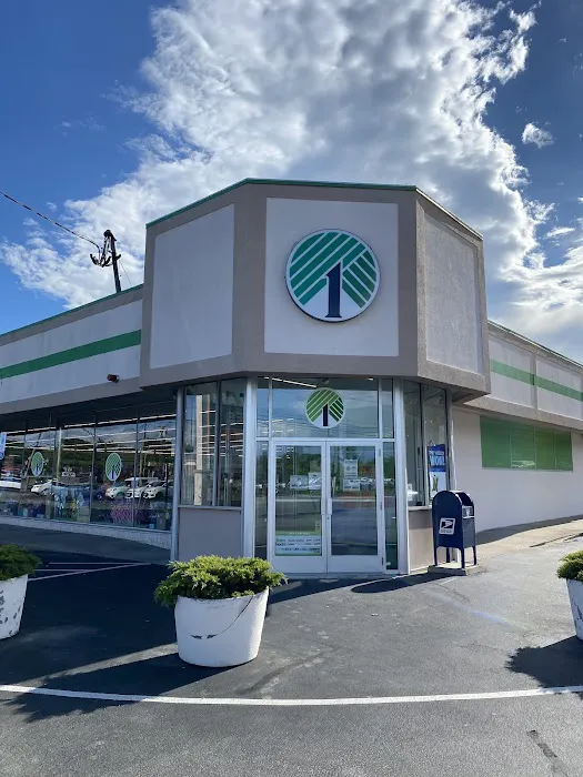 Dollar Tree 1
