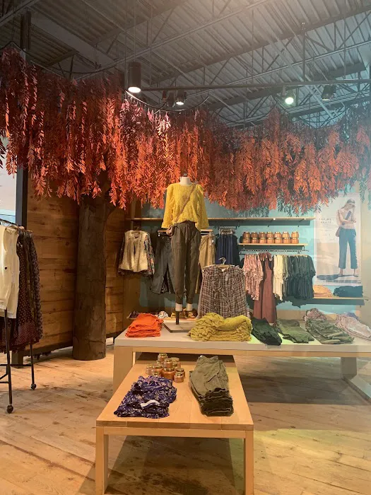 Anthropologie 1
