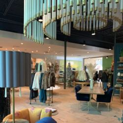 Anthropologie ico
