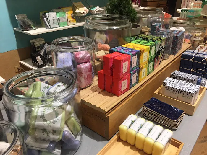 Anthropologie 2