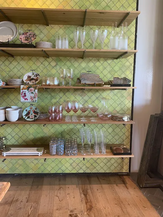 Anthropologie 5