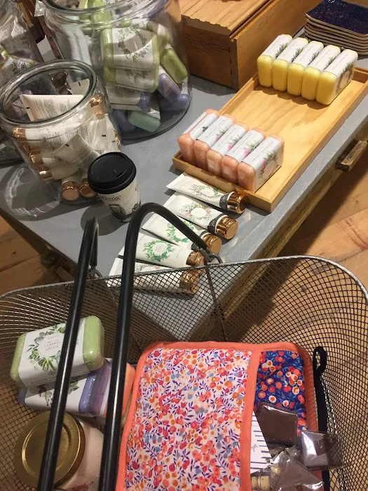 Anthropologie 7