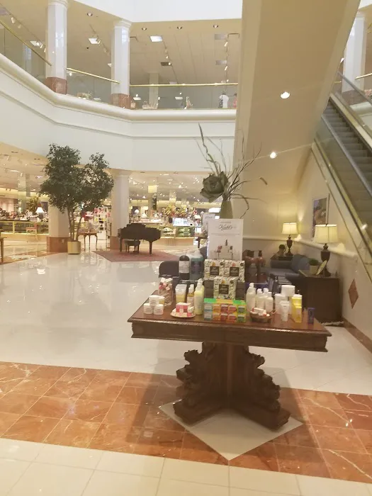 Von Maur 8