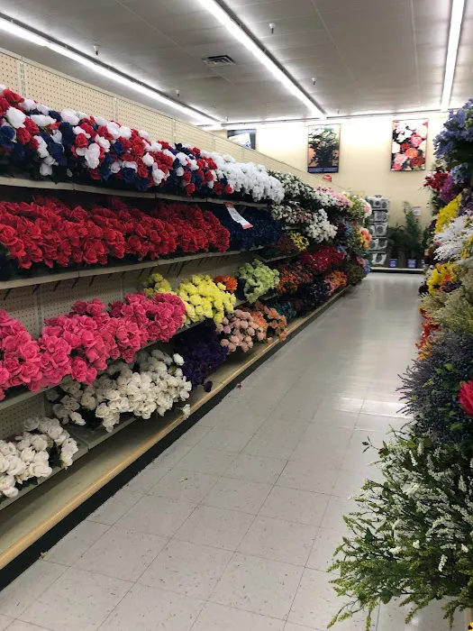 Hobby Lobby 8