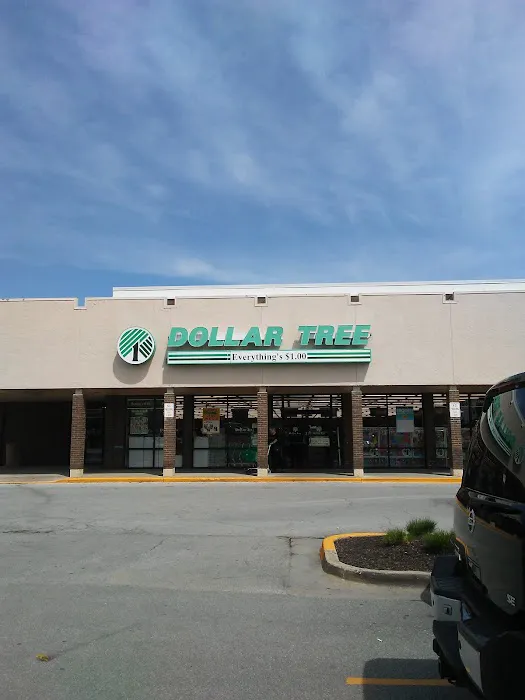 Dollar Tree 6