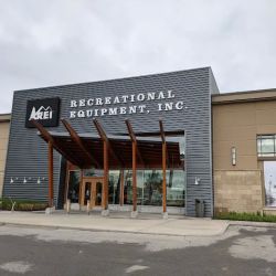 REI ico