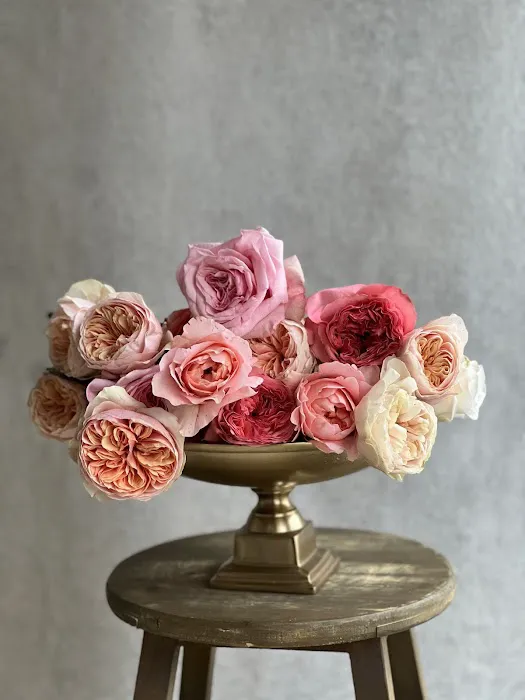 Flower House KC 8