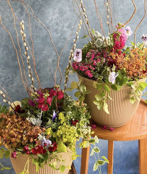 Flower House KC 9