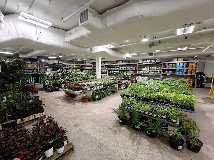 The Home Depot 1