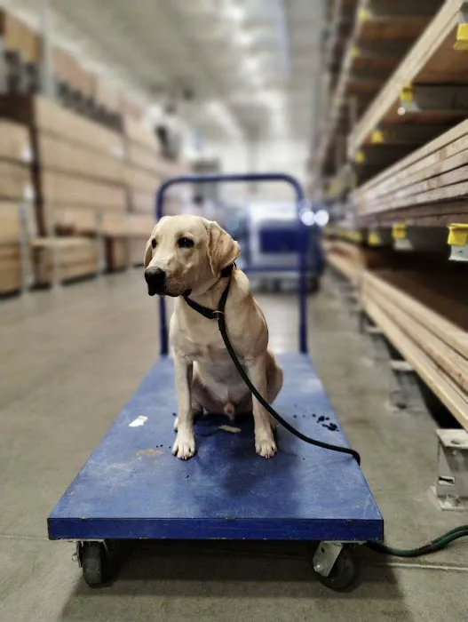 The Home Depot 5
