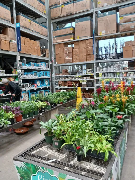 Lowe's Home Improvement 7