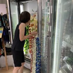 Cindy's Lei & Flower Shoppe ico