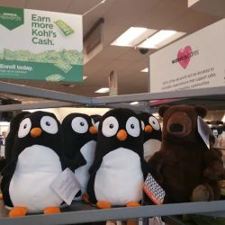 Kohl's ico