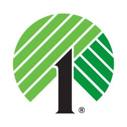 Dollar Tree ico