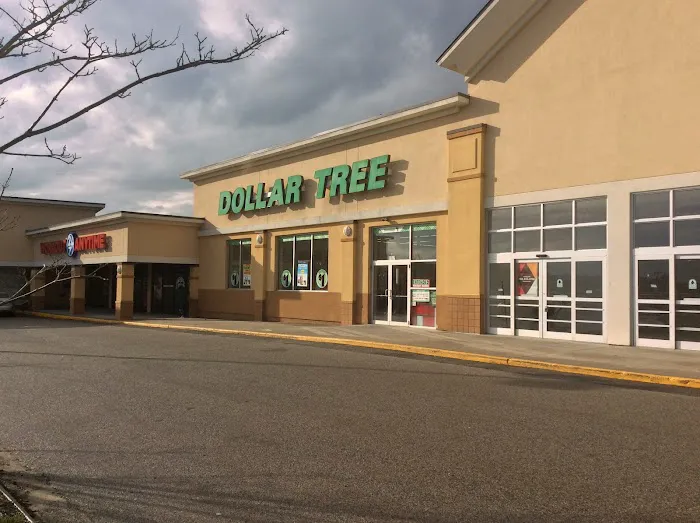 Dollar Tree 2