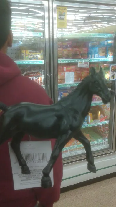 Dollar Tree 7