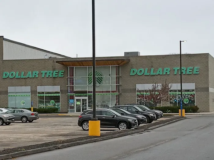 Dollar Tree 1