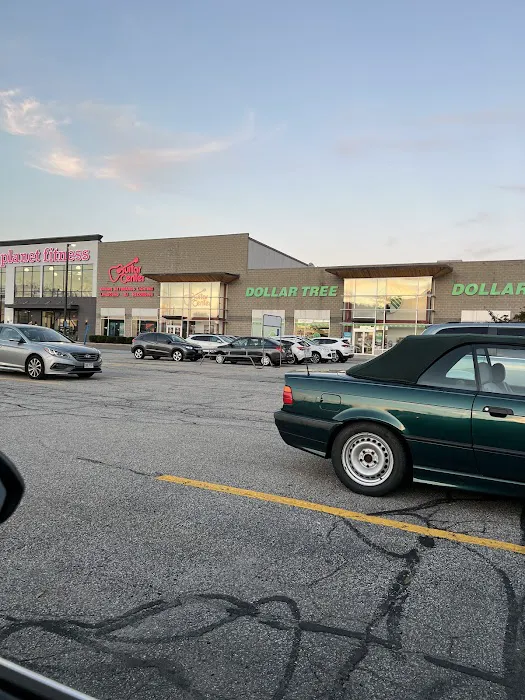 Dollar Tree 7