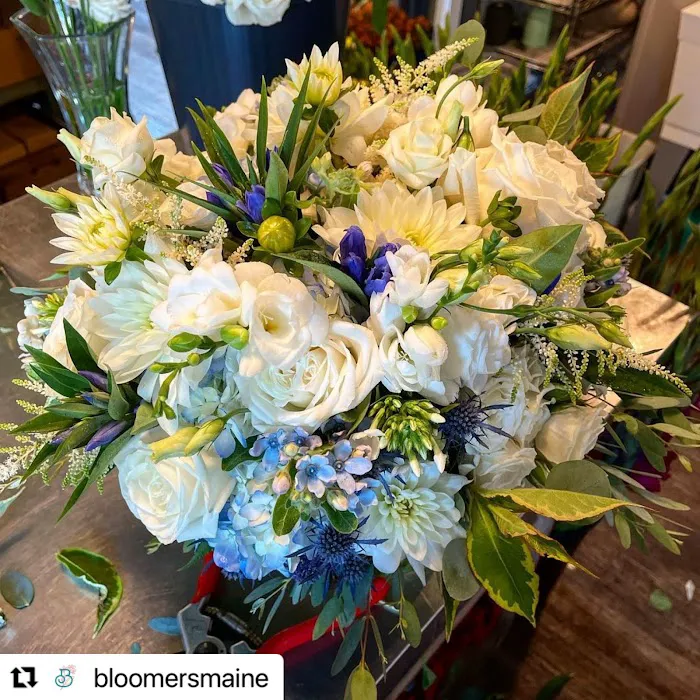 Fiddleheads Fine Flowers and Maine Gifts 3