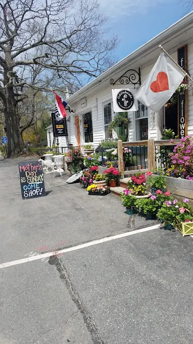 Fiddleheads Fine Flowers and Maine Gifts 2