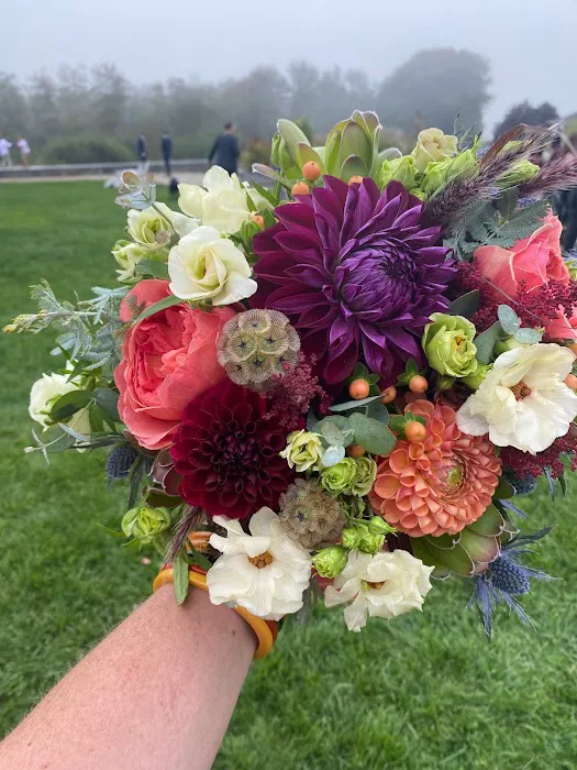 Fiddleheads Fine Flowers and Maine Gifts 7