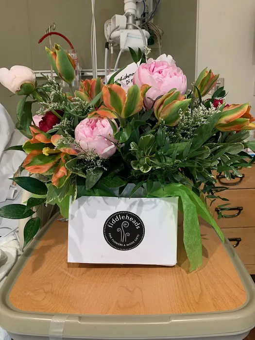 Fiddleheads Fine Flowers and Maine Gifts 9