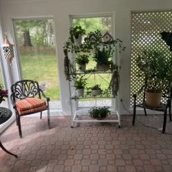 Fleur De Lis Floral Design & Gifts ico