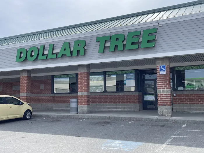 Dollar Tree 6