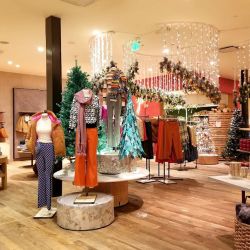 Anthropologie ico