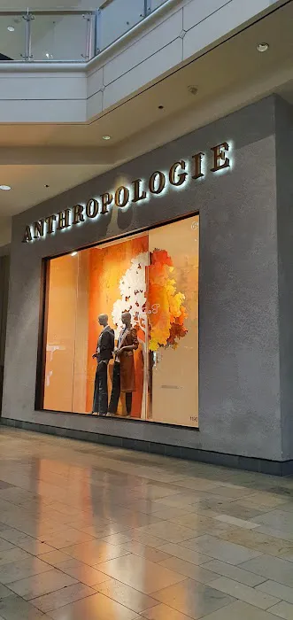 Anthropologie 2